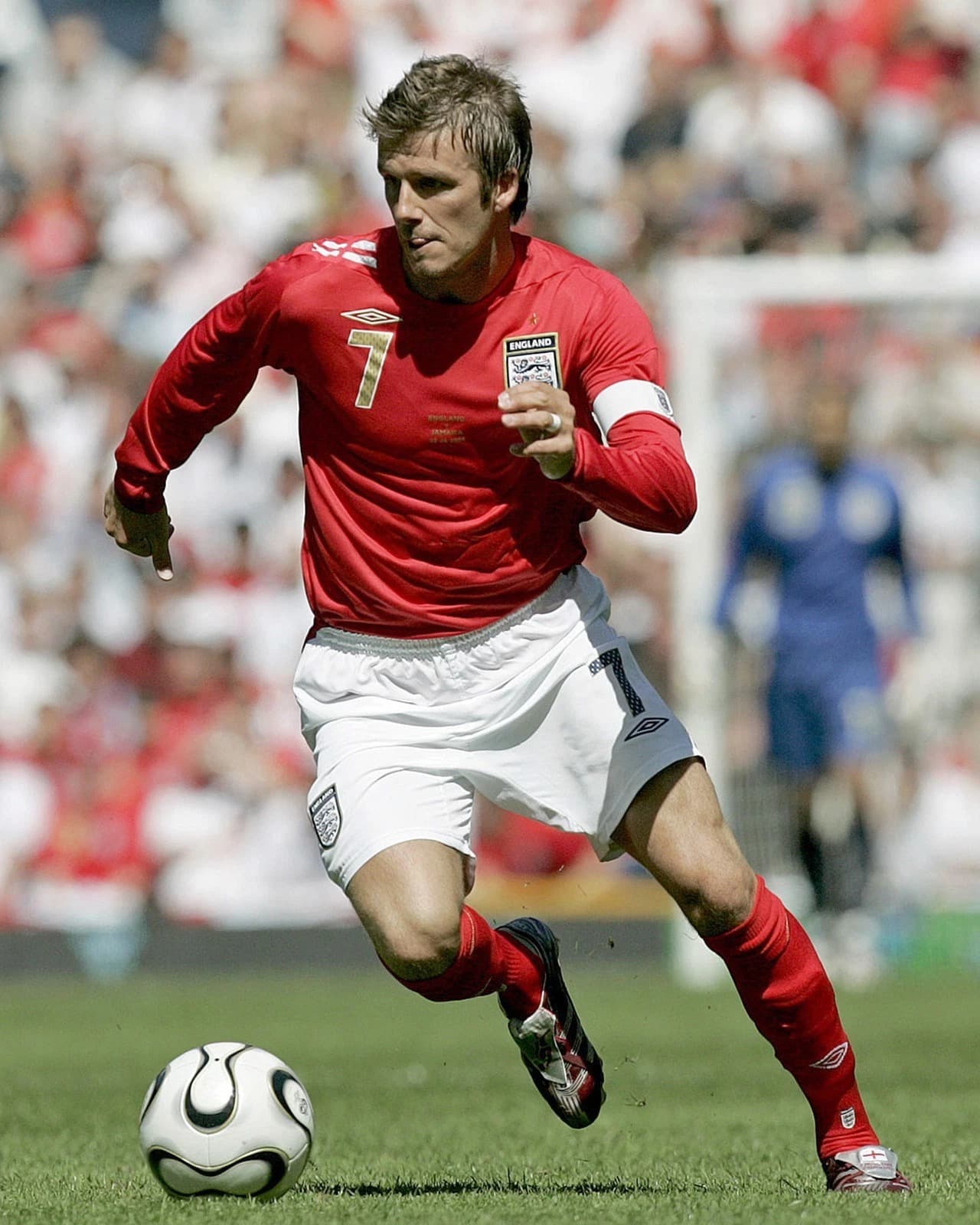 David Beckham portrait